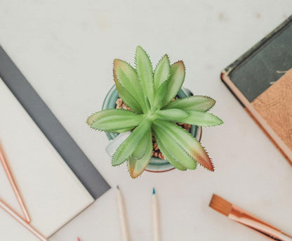 Boba Fett Helmet 3-Inch Ceramic Planter with Artificial Succulent | Small Flower Pot, Faux Indoor Plant for Desk Shelf, Trinket Tray | Cute Home Decor Gifts and Collectibles