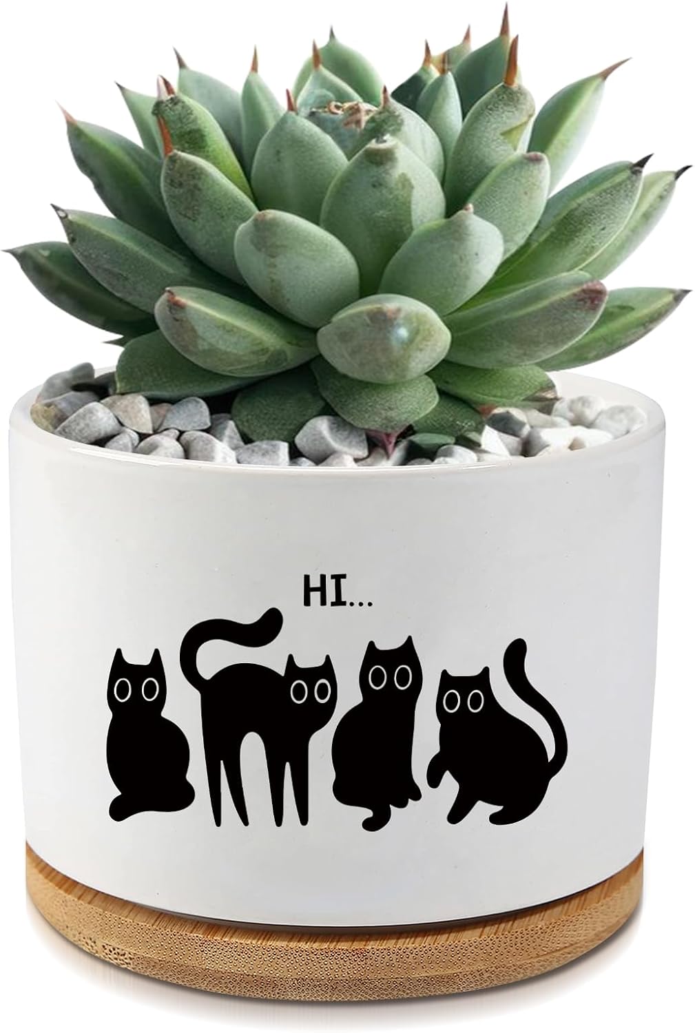 Black Cat Ceramic Pot,Cute Planter Succulent Plant Pot with Drainage,Cactus Plant Pot Container Home Office Decoration for Plant Lovers Teacher Friends Coworkers (Plants Not Included)