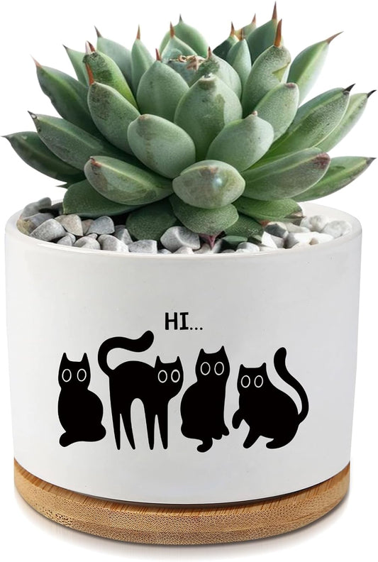 Black Cat Ceramic Pot,Cute Planter Succulent Plant Pot with Drainage,Cactus Plant Pot Container Home Office Decoration for Plant Lovers Teacher Friends Coworkers (Plants Not Included)