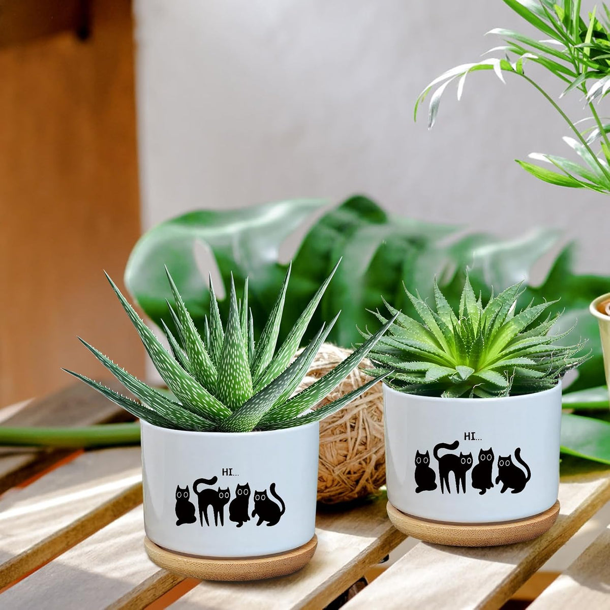 Black Cat Ceramic Pot,Cute Planter Succulent Plant Pot with Drainage,Cactus Plant Pot Container Home Office Decoration for Plant Lovers Teacher Friends Coworkers (Plants Not Included)