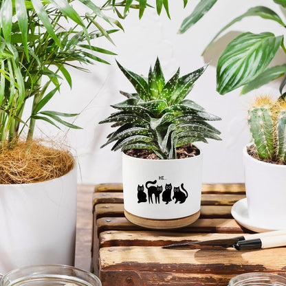 Black Cat Ceramic Pot,Cute Planter Succulent Plant Pot with Drainage,Cactus Plant Pot Container Home Office Decoration for Plant Lovers Teacher Friends Coworkers (Plants Not Included)