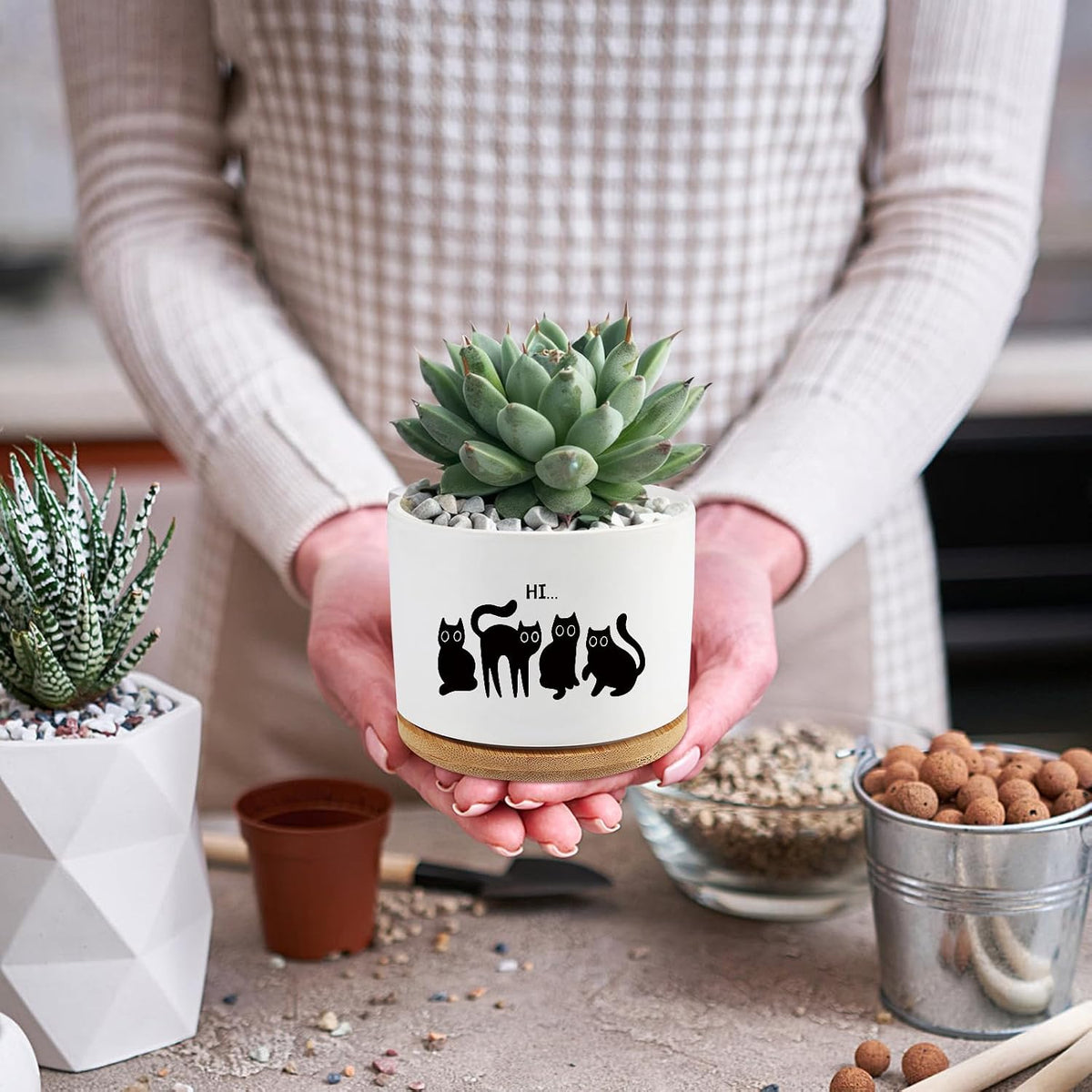 Black Cat Ceramic Pot,Cute Planter Succulent Plant Pot with Drainage,Cactus Plant Pot Container Home Office Decoration for Plant Lovers Teacher Friends Coworkers (Plants Not Included)