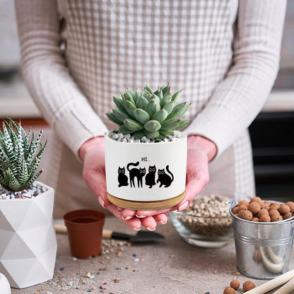 Black Cat Ceramic Pot,Cute Planter Succulent Plant Pot with Drainage,Cactus Plant Pot Container Home Office Decoration for Plant Lovers Teacher Friends Coworkers (Plants Not Included)