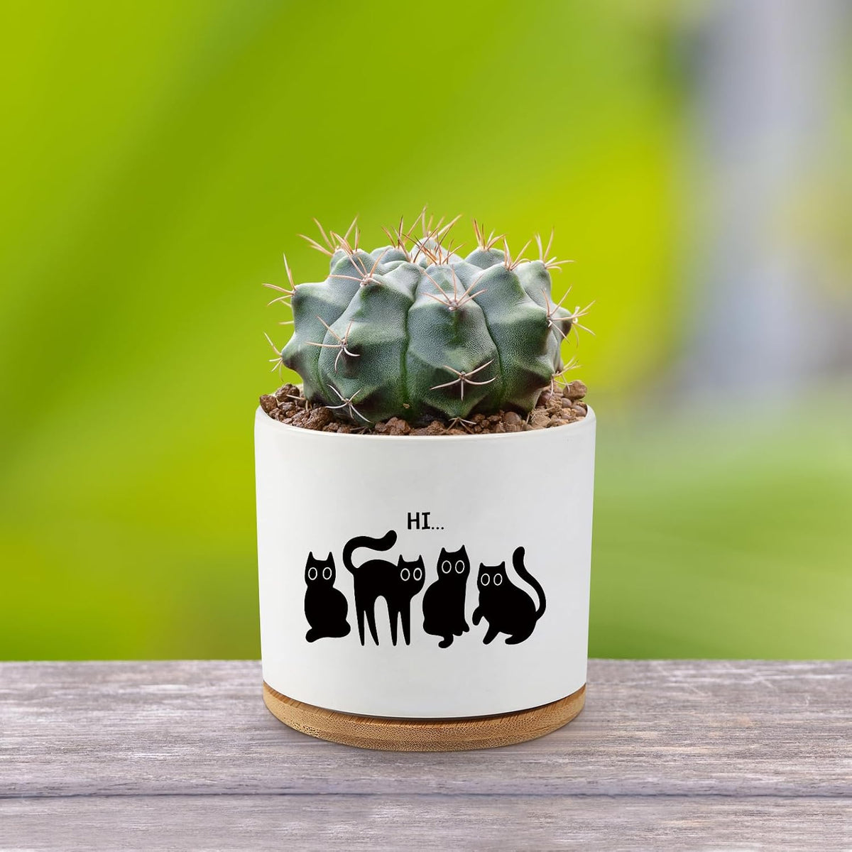 Black Cat Ceramic Pot,Cute Planter Succulent Plant Pot with Drainage,Cactus Plant Pot Container Home Office Decoration for Plant Lovers Teacher Friends Coworkers (Plants Not Included)
