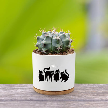 Black Cat Ceramic Pot,Cute Planter Succulent Plant Pot with Drainage,Cactus Plant Pot Container Home Office Decoration for Plant Lovers Teacher Friends Coworkers (Plants Not Included)