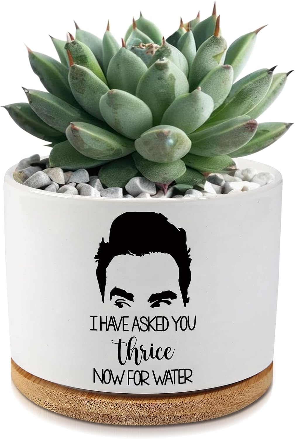 Black Cat Ceramic Pot,Cute Planter Succulent Plant Pot with Drainage,Cactus Plant Pot Container Home Office Decoration for Plant Lovers Teacher Friends Coworkers (Plants Not Included)