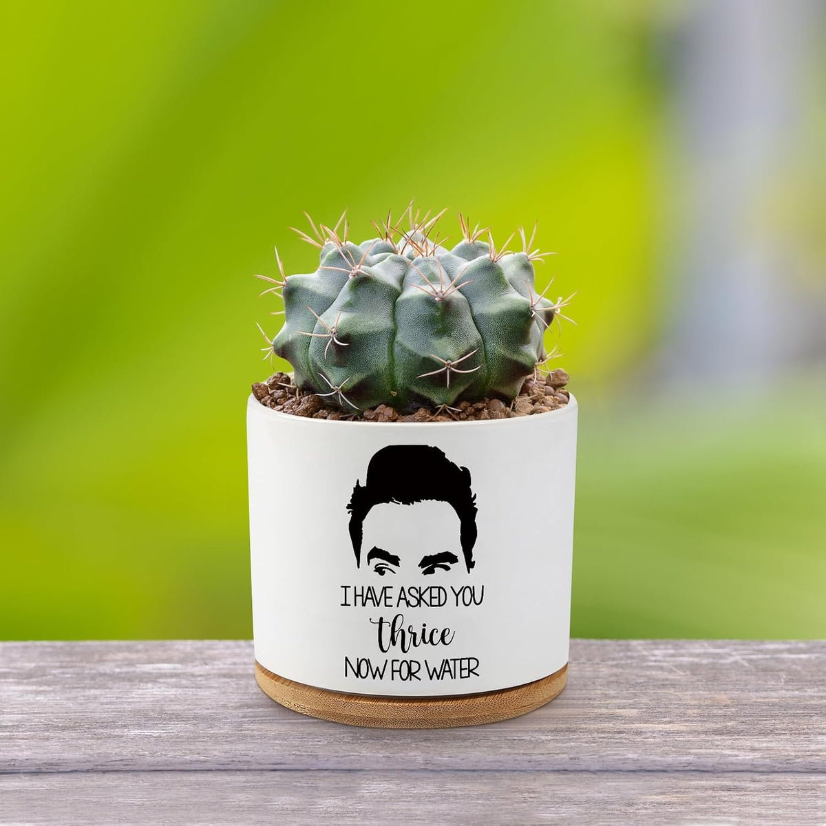 Black Cat Ceramic Pot,Cute Planter Succulent Plant Pot with Drainage,Cactus Plant Pot Container Home Office Decoration for Plant Lovers Teacher Friends Coworkers (Plants Not Included)