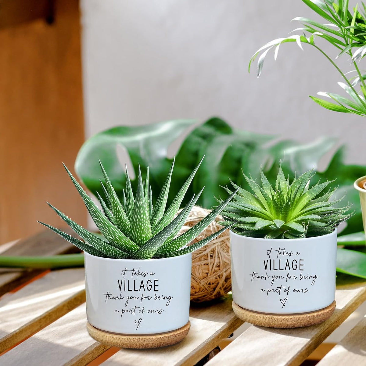 Black Cat Ceramic Pot,Cute Planter Succulent Plant Pot with Drainage,Cactus Plant Pot Container Home Office Decoration for Plant Lovers Teacher Friends Coworkers (Plants Not Included)
