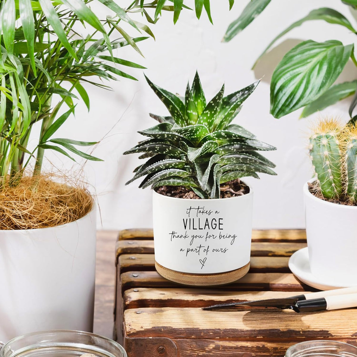Black Cat Ceramic Pot,Cute Planter Succulent Plant Pot with Drainage,Cactus Plant Pot Container Home Office Decoration for Plant Lovers Teacher Friends Coworkers (Plants Not Included)