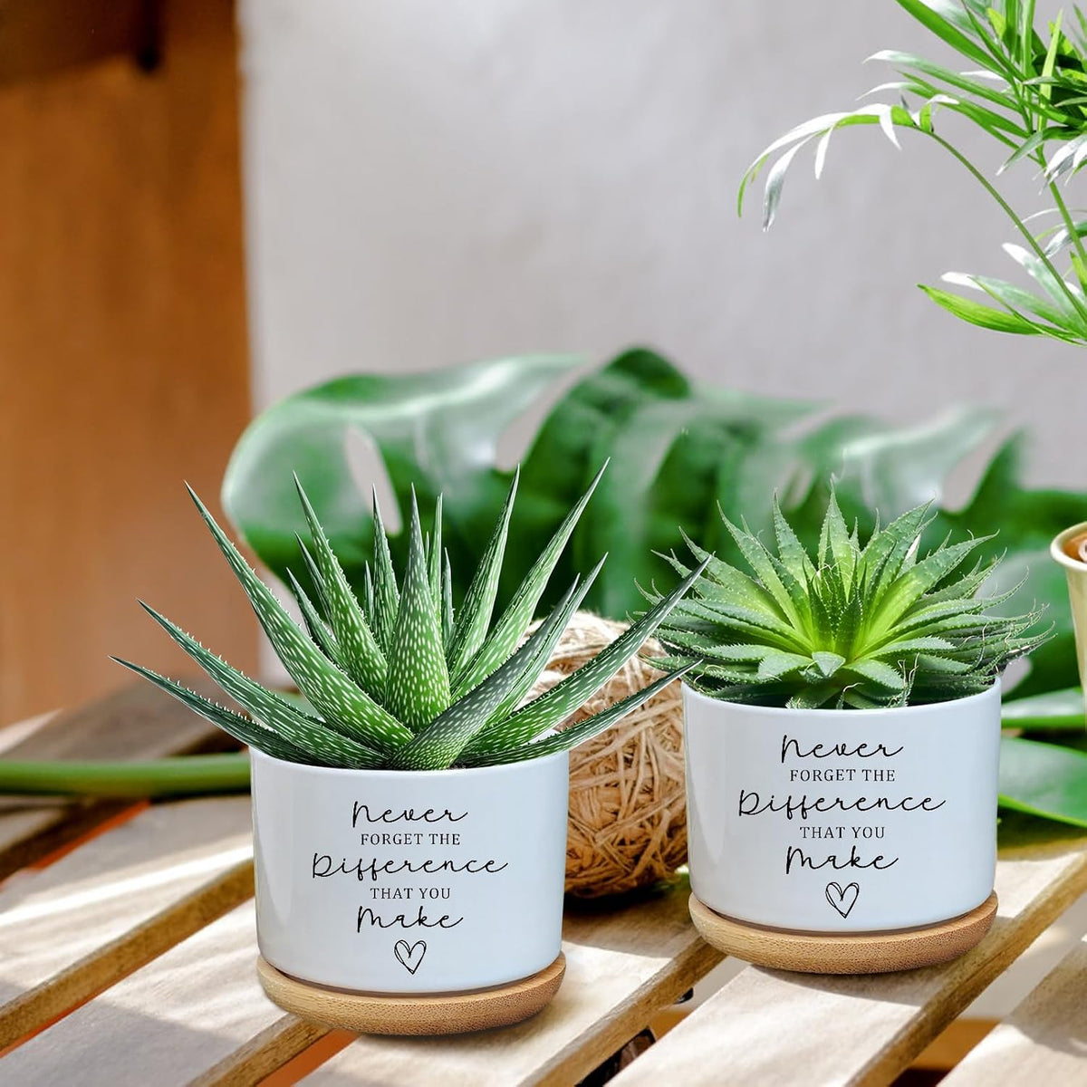 Black Cat Ceramic Pot,Cute Planter Succulent Plant Pot with Drainage,Cactus Plant Pot Container Home Office Decoration for Plant Lovers Teacher Friends Coworkers (Plants Not Included)