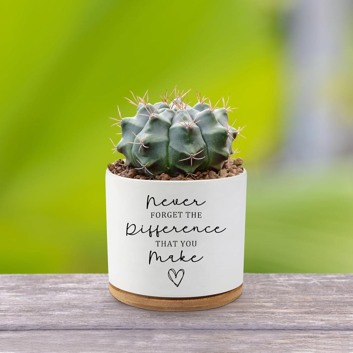 Black Cat Ceramic Pot,Cute Planter Succulent Plant Pot with Drainage,Cactus Plant Pot Container Home Office Decoration for Plant Lovers Teacher Friends Coworkers (Plants Not Included)