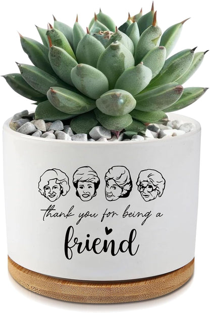 Black Cat Ceramic Pot,Cute Planter Succulent Plant Pot with Drainage,Cactus Plant Pot Container Home Office Decoration for Plant Lovers Teacher Friends Coworkers (Plants Not Included)