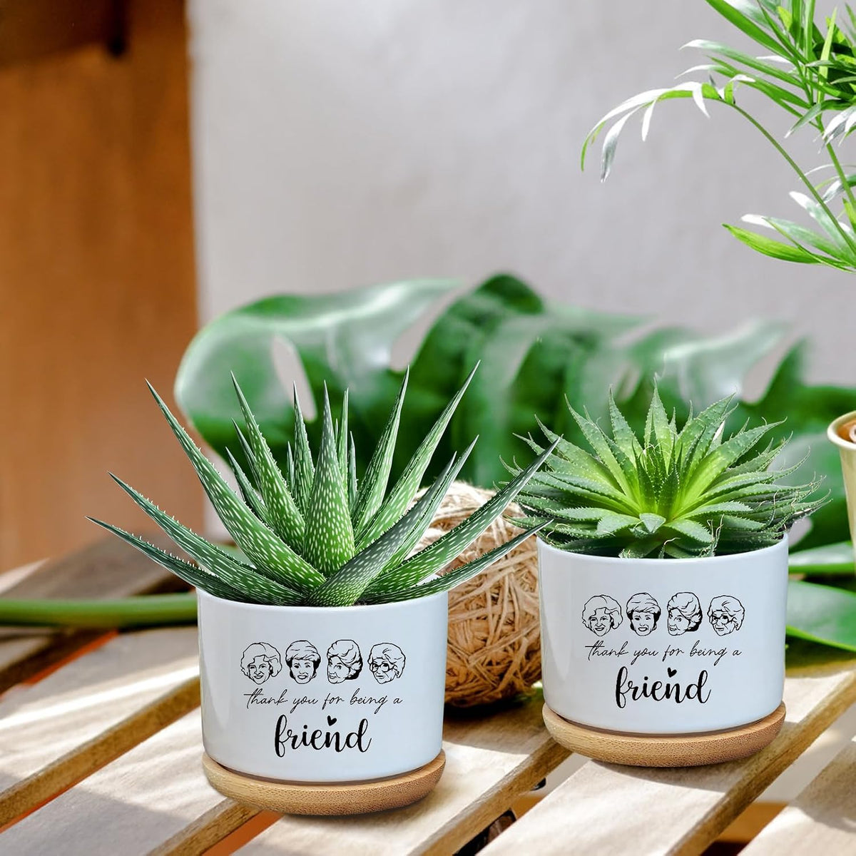 Black Cat Ceramic Pot,Cute Planter Succulent Plant Pot with Drainage,Cactus Plant Pot Container Home Office Decoration for Plant Lovers Teacher Friends Coworkers (Plants Not Included)