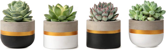 3 Inch Mini Succulent Pots Concrete Planter Set, Modern Tiny Container for Indoor Plants, Christmas Home Office Decor Gifts for Plant Lovers (Plant NOT Included)