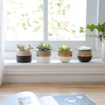 3 Inch Mini Succulent Pots Concrete Planter Set, Modern Tiny Container for Indoor Plants, Christmas Home Office Decor Gifts for Plant Lovers (Plant NOT Included)