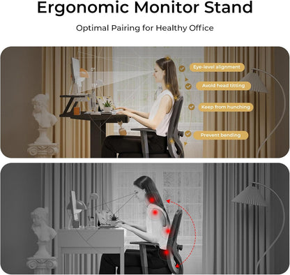 Electric Standing Desk with Drawers, 48 x 24'' Sit Stand up Desk with Monitor Stand, Laptop Stand, Height Adjustable Ergonomic Home Office Computer Desk with Memory Preset Controller
