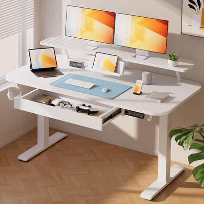 Electric Standing Desk with Drawers, 48 x 24'' Sit Stand up Desk with Monitor Stand, Laptop Stand, Height Adjustable Ergonomic Home Office Computer Desk with Memory Preset Controller