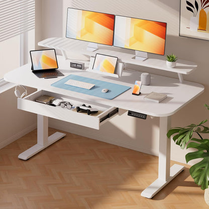 Electric Standing Desk with Drawers, 48 x 24'' Sit Stand up Desk with Monitor Stand, Laptop Stand, Height Adjustable Ergonomic Home Office Computer Desk with Memory Preset Controller