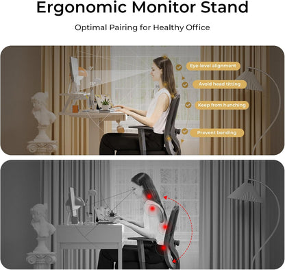Electric Standing Desk with Drawers, 48 x 24'' Sit Stand up Desk with Monitor Stand, Laptop Stand, Height Adjustable Ergonomic Home Office Computer Desk with Memory Preset Controller