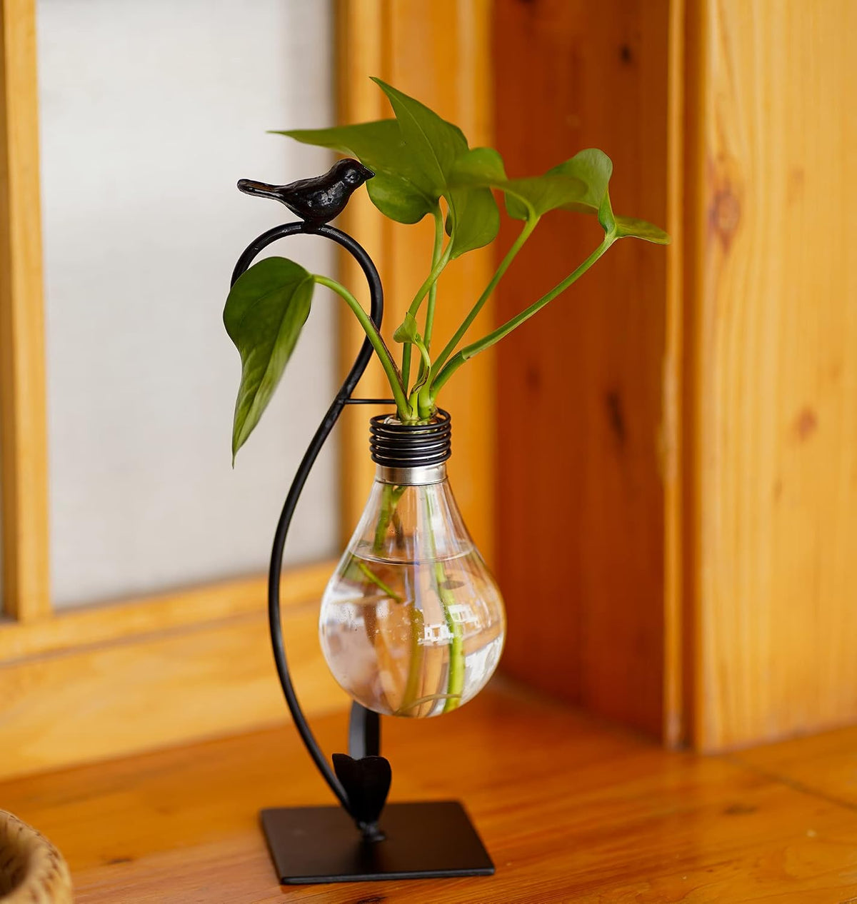 Desktop Cat Planter Propagation Station, Glass Vase Metal Stand