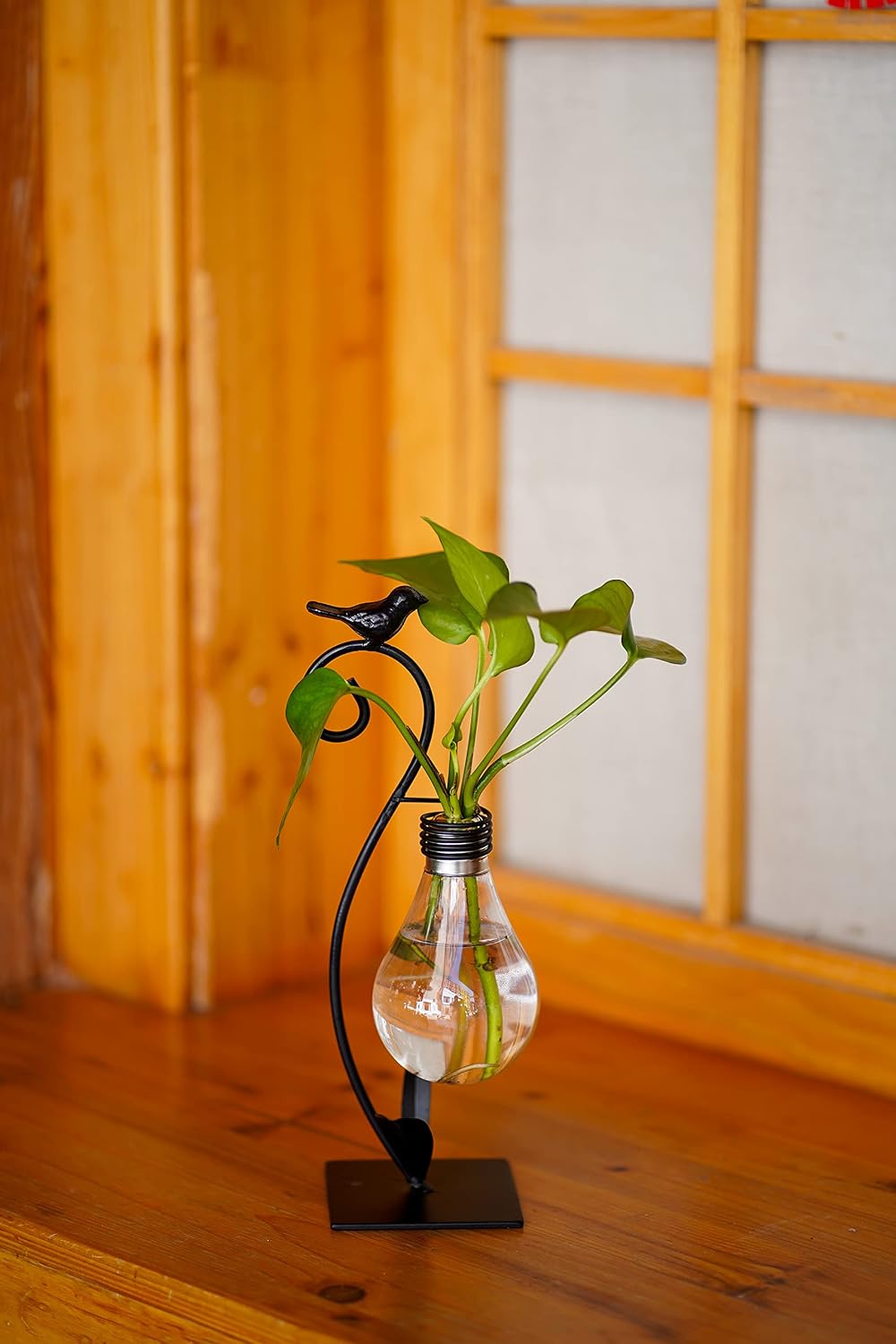 Desktop Cat Planter Propagation Station, Glass Vase Metal Stand