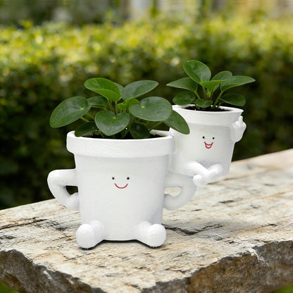 Smiling Plant Pot with Middle Fingers Up, Funny Succulent Flower Pot with Drainage, Resin Figure Planter Pots Indoor Outdoor Home Decor, Office Desk, Novelty Gardening Gift