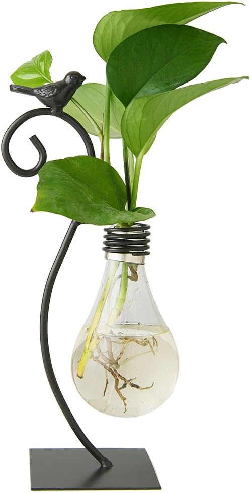 Desktop Glass Planter Hydroponics Vase,Planter Bulb Vase with Holder for Home Decoration,Modern Creative Bird Plant Terrarium Stand, Scindapsus Container (Bulb Vase)