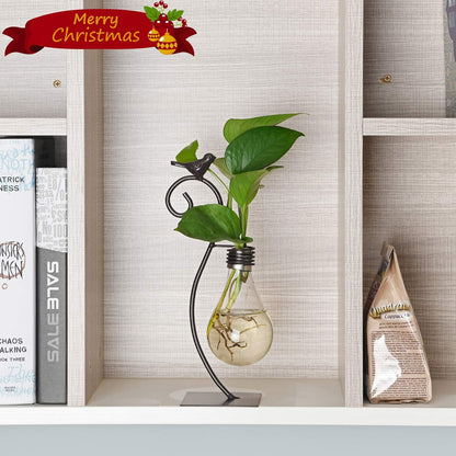 Desktop Glass Planter Hydroponics Vase,Planter Bulb Vase with Holder for Home Decoration,Modern Creative Bird Plant Terrarium Stand, Scindapsus Container (Bulb Vase)