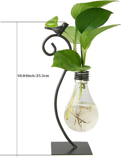 Desktop Glass Planter Hydroponics Vase,Planter Bulb Vase with Holder for Home Decoration,Modern Creative Bird Plant Terrarium Stand, Scindapsus Container (Bulb Vase)