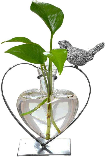 Desktop Glass Planter Hydroponics Vase,Planter Bulb Vase with Holder for Home Decoration,Modern Creative Bird Plant Terrarium Stand, Scindapsus Container (Bulb Vase)
