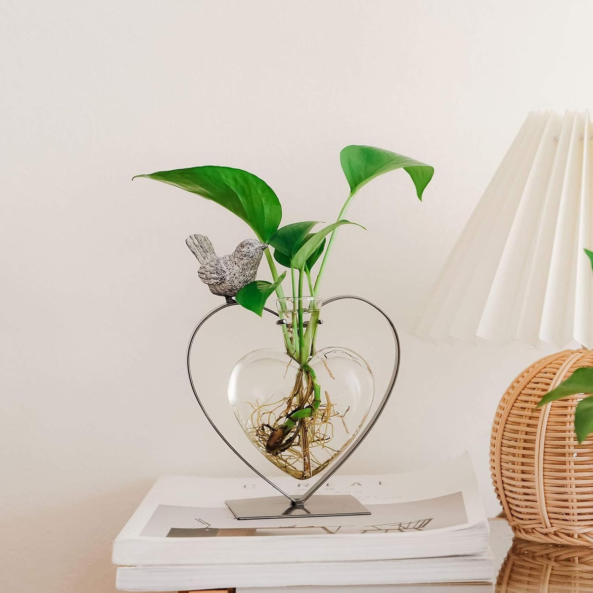 Desktop Glass Planter Hydroponics Vase,Planter Bulb Vase with Holder for Home Decoration,Modern Creative Bird Plant Terrarium Stand, Scindapsus Container (Bulb Vase)