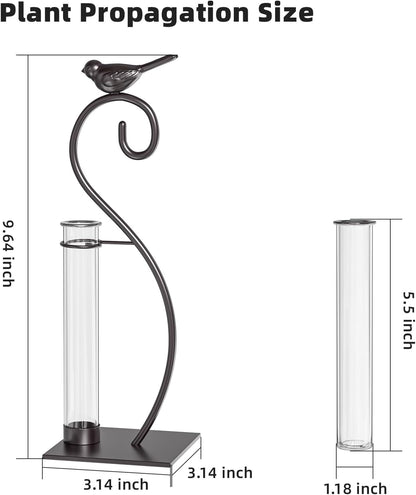 Desktop Glass Planter Hydroponics Vase,Planter Bulb Vase with Holder for Home Decoration,Modern Creative Bird Plant Terrarium Stand, Scindapsus Container (Bulb Vase)
