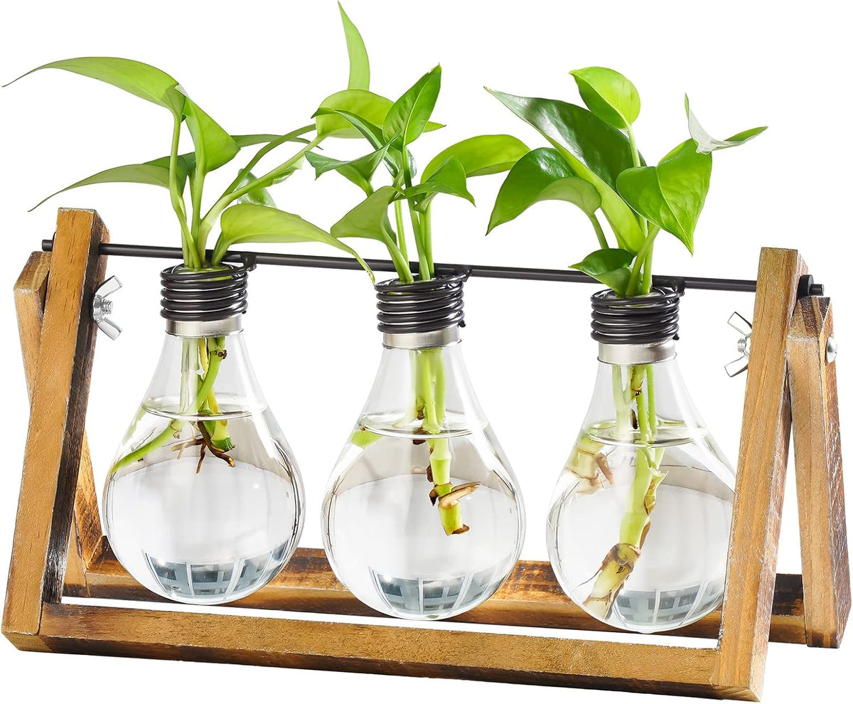 Desktop Glass Planter Hydroponics Vase,Planter Bulb Vase with Holder for Home Decoration,Modern Creative Bird Plant Terrarium Stand, Scindapsus Container (Bulb Vase)