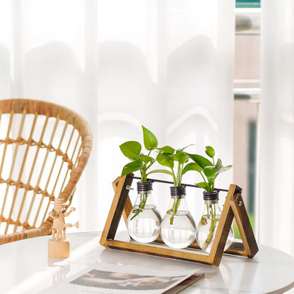 Desktop Glass Planter Hydroponics Vase,Planter Bulb Vase with Holder for Home Decoration,Modern Creative Bird Plant Terrarium Stand, Scindapsus Container (Bulb Vase)