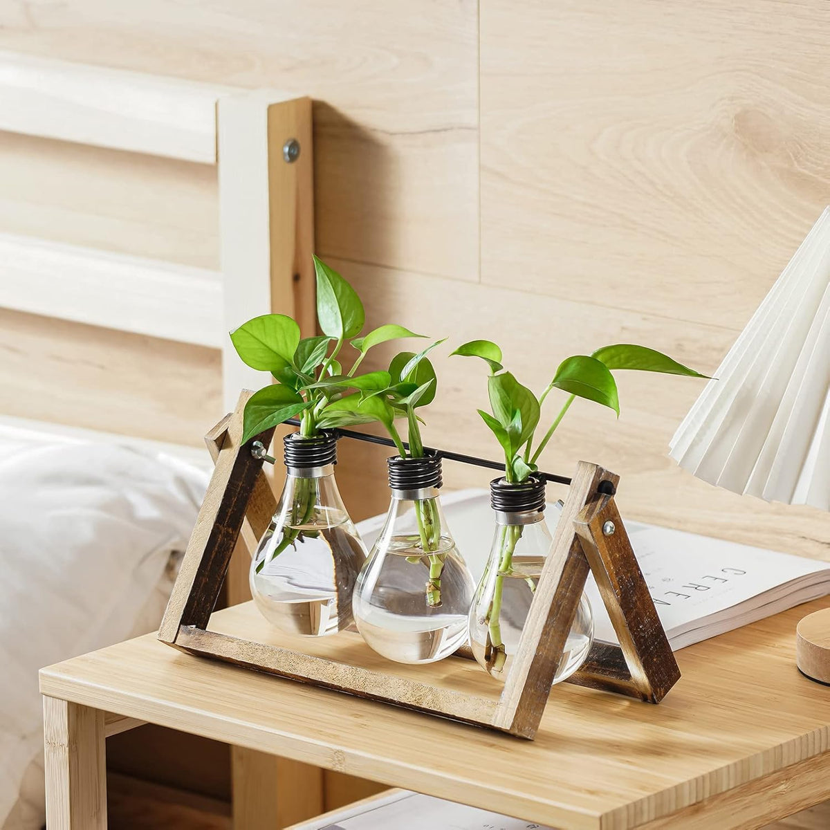 Desktop Glass Planter Hydroponics Vase,Planter Bulb Vase with Holder for Home Decoration,Modern Creative Bird Plant Terrarium Stand, Scindapsus Container (Bulb Vase)