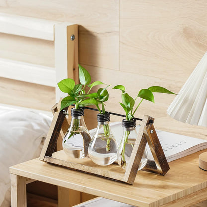 Desktop Glass Planter Hydroponics Vase,Planter Bulb Vase with Holder for Home Decoration,Modern Creative Bird Plant Terrarium Stand, Scindapsus Container (Bulb Vase)
