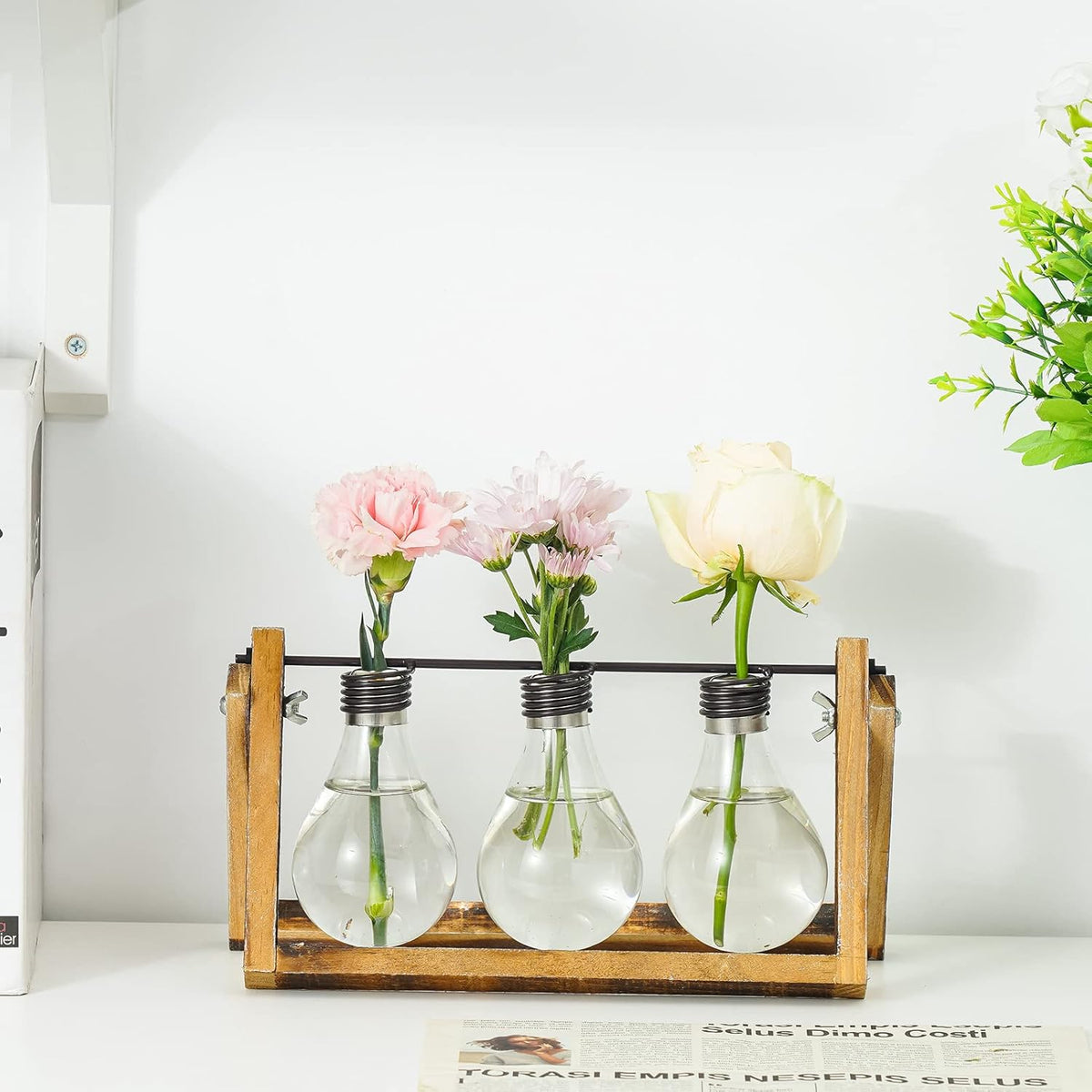 Desktop Glass Planter Hydroponics Vase,Planter Bulb Vase with Holder for Home Decoration,Modern Creative Bird Plant Terrarium Stand, Scindapsus Container (Bulb Vase)