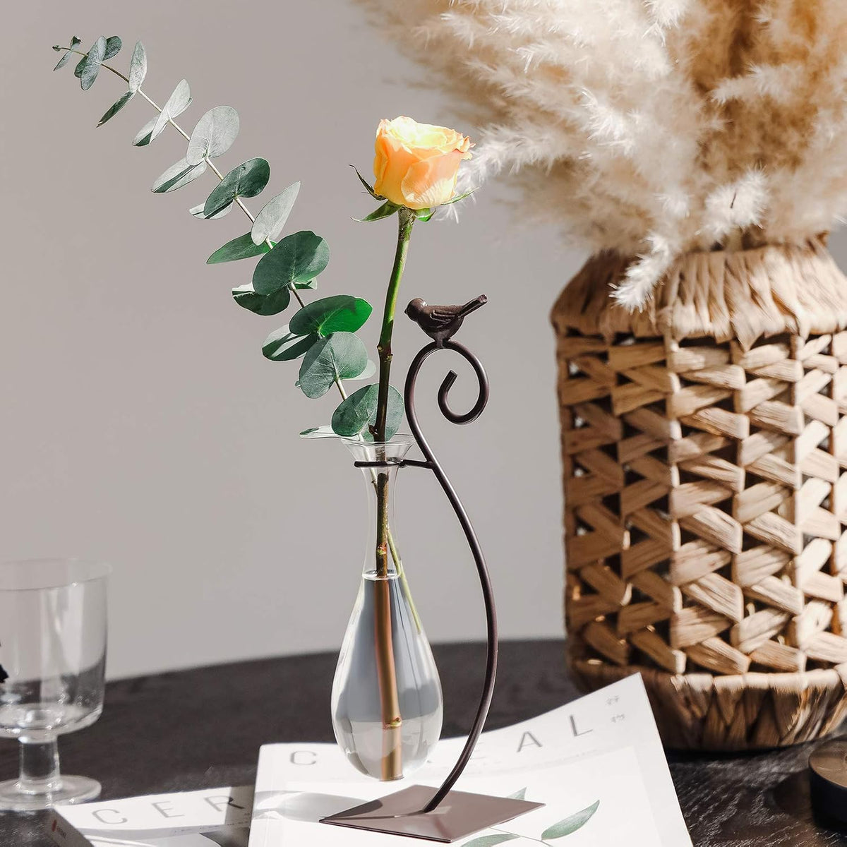 Desktop Glass Planter Hydroponics Vase,Planter Bulb Vase with Holder for Home Decoration,Modern Creative Bird Plant Terrarium Stand, Scindapsus Container (Bulb Vase)