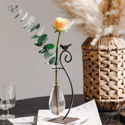 Desktop Glass Planter Hydroponics Vase,Planter Bulb Vase with Holder for Home Decoration,Modern Creative Bird Plant Terrarium Stand, Scindapsus Container (Bulb Vase)