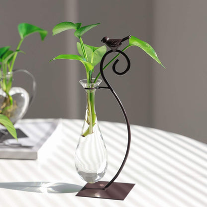 Desktop Glass Planter Hydroponics Vase,Planter Bulb Vase with Holder for Home Decoration,Modern Creative Bird Plant Terrarium Stand, Scindapsus Container (Bulb Vase)