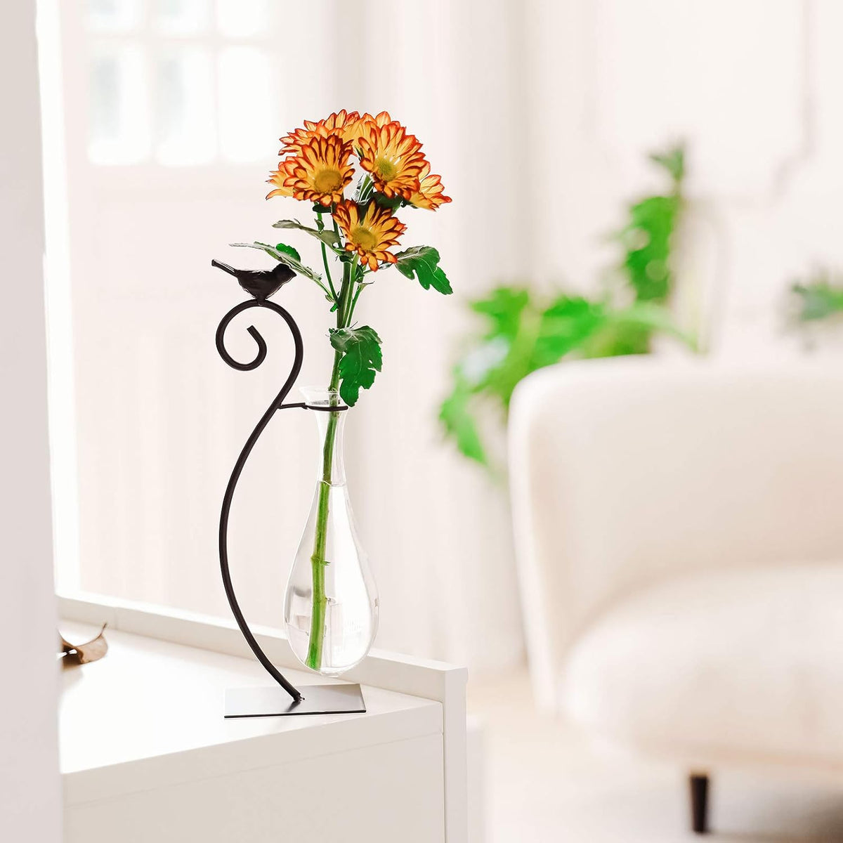 Desktop Glass Planter Hydroponics Vase,Planter Bulb Vase with Holder for Home Decoration,Modern Creative Bird Plant Terrarium Stand, Scindapsus Container (Bulb Vase)