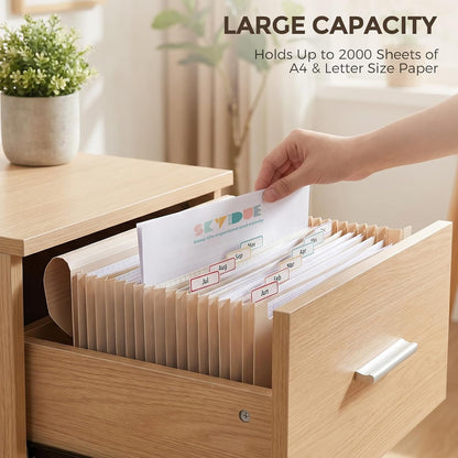 Accordion File Organizer, Expanding File Folder with 13 Pockets, Portable Document Paper Bill Receipt Organizer, Home School Office Supplies, Letter A4 Size Haze Blue