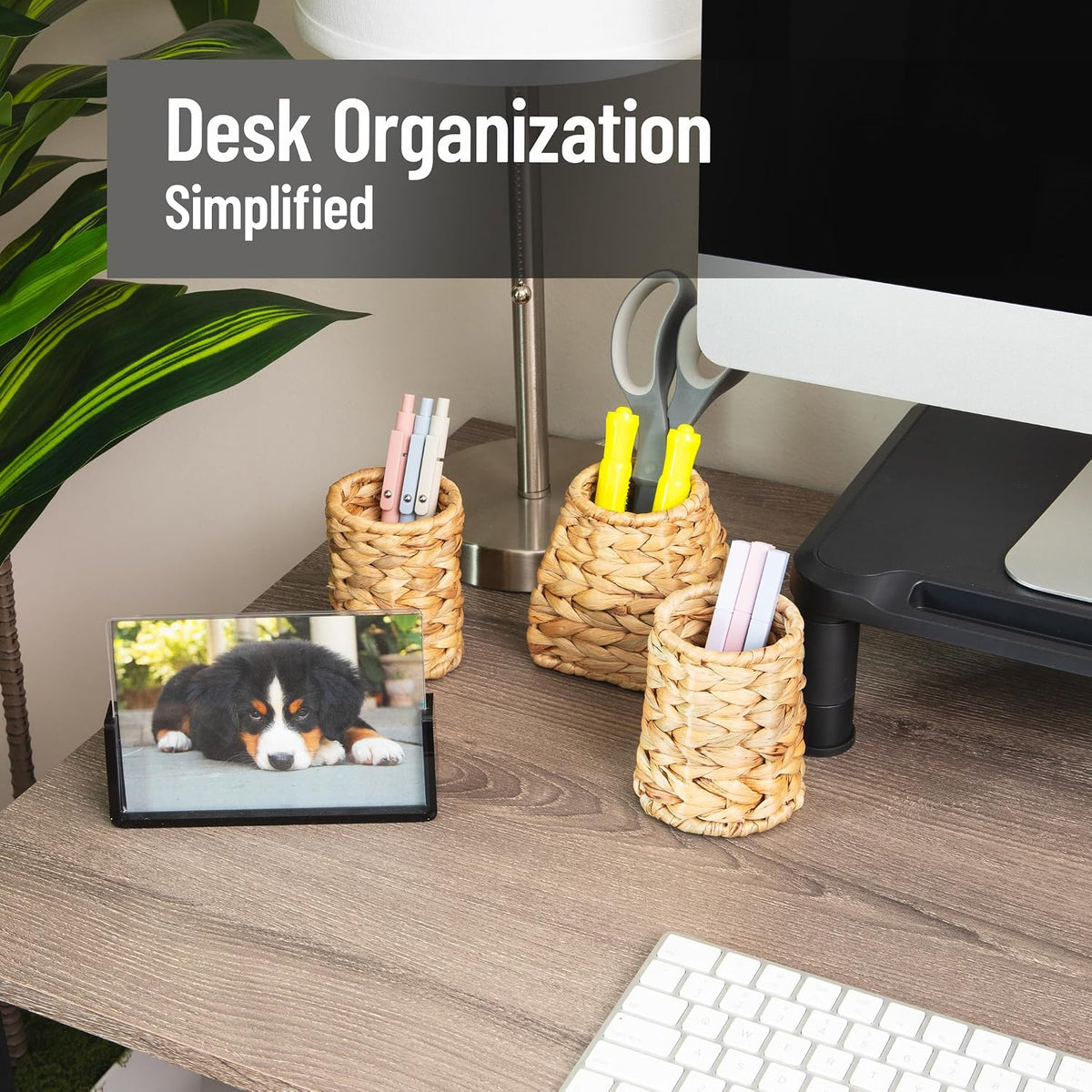 Rattan Vertical File Organizer with Iron Frame, Desktop Organizer, Holds Letter Size Documents, Brown