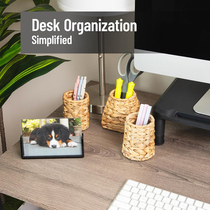 Rattan Vertical File Organizer with Iron Frame, Desktop Organizer, Holds Letter Size Documents, Brown