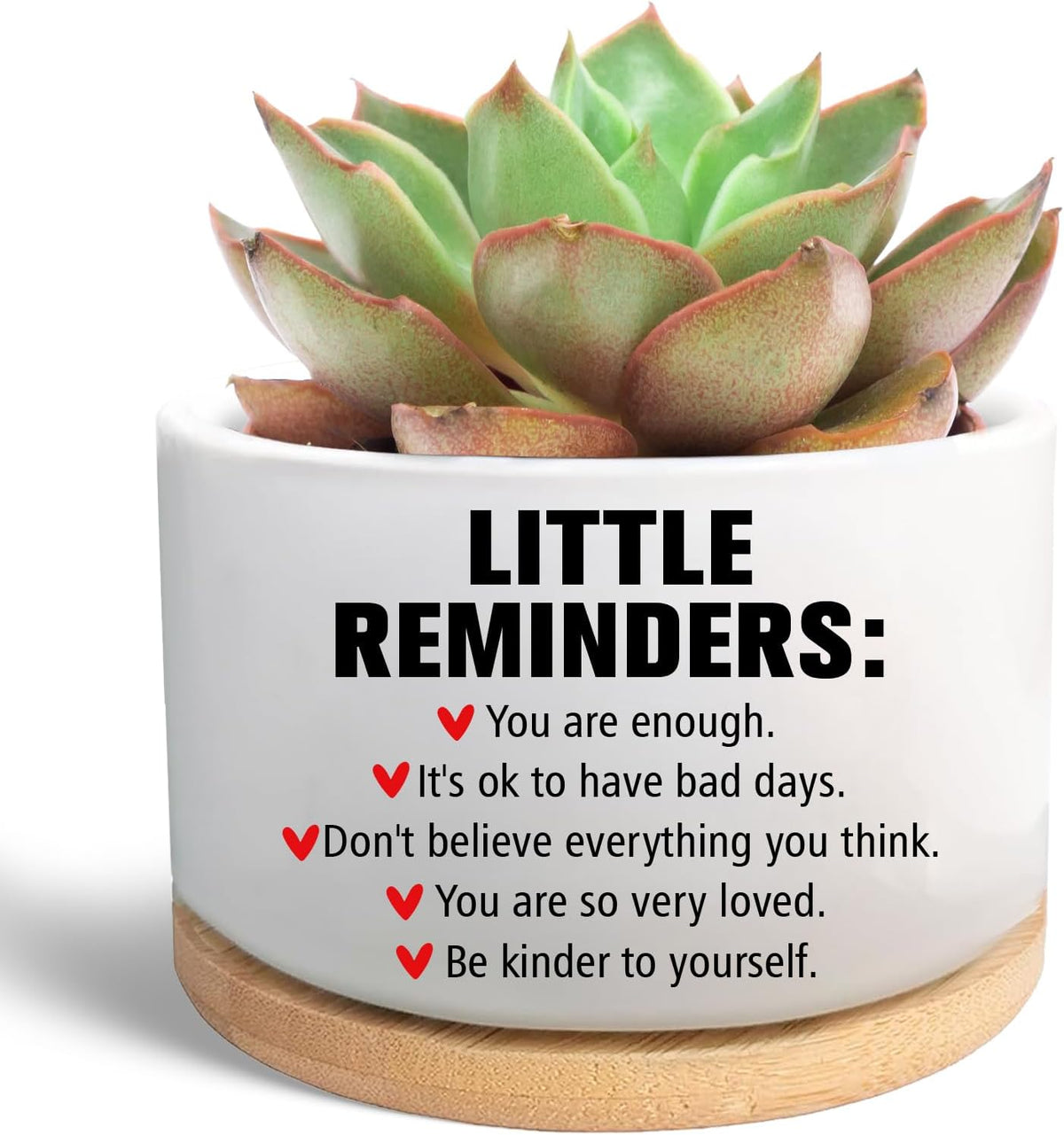Office Desk Shelf Decor, Funny Succulent Plant Pot (Plants Not Included)