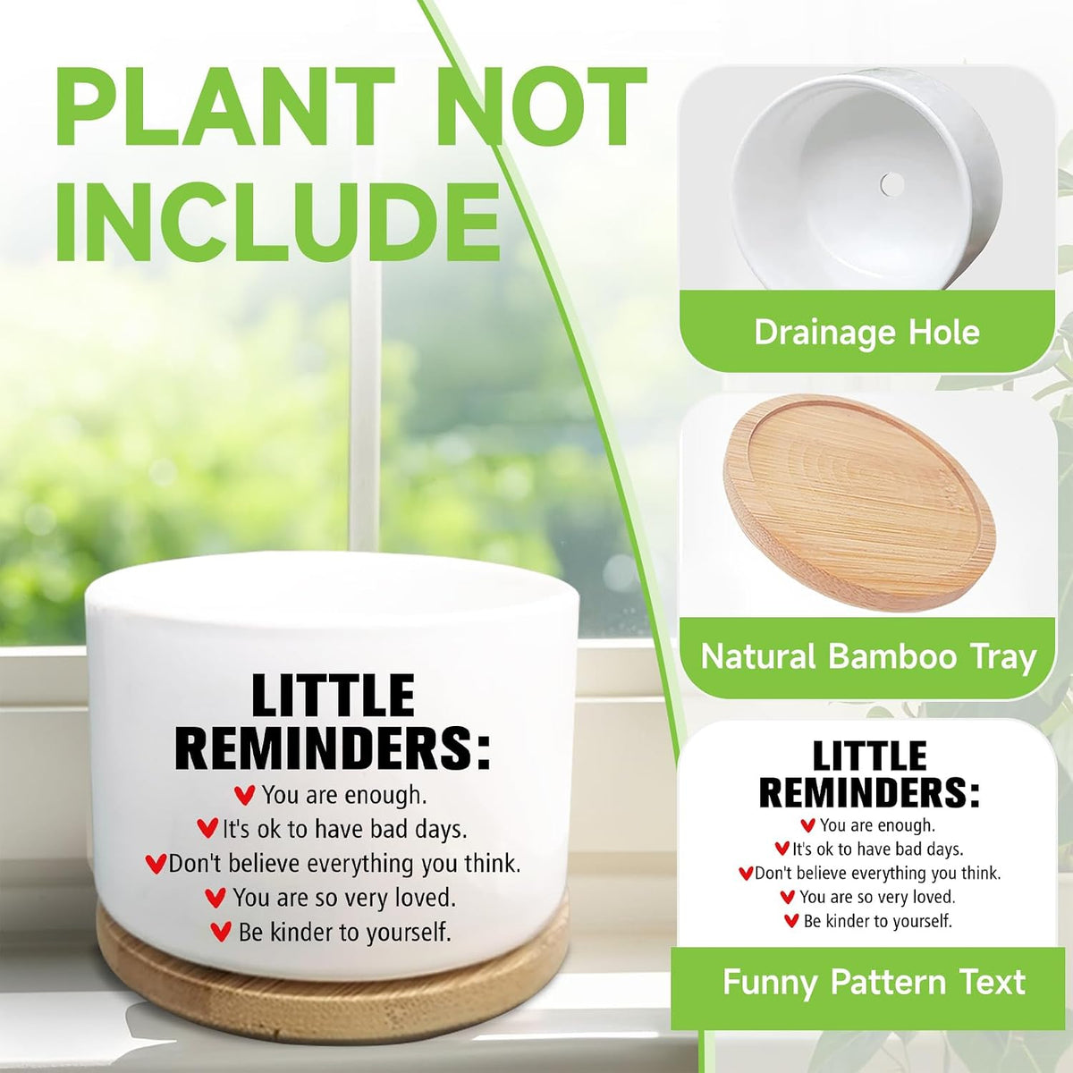 Office Desk Shelf Decor, Funny Succulent Plant Pot (Plants Not Included)