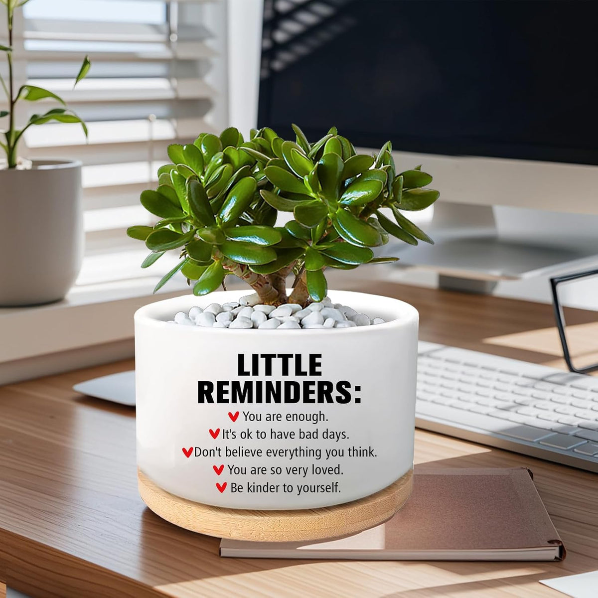Office Desk Shelf Decor, Funny Succulent Plant Pot (Plants Not Included)