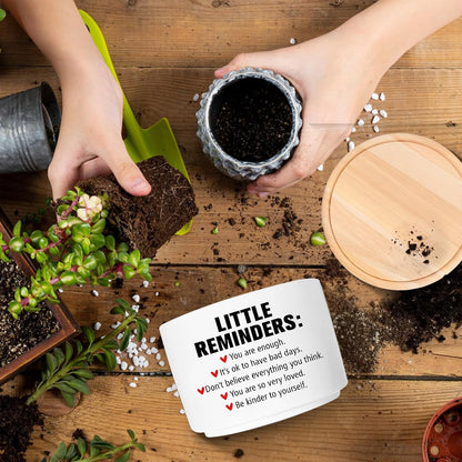 Office Desk Shelf Decor, Funny Succulent Plant Pot (Plants Not Included)