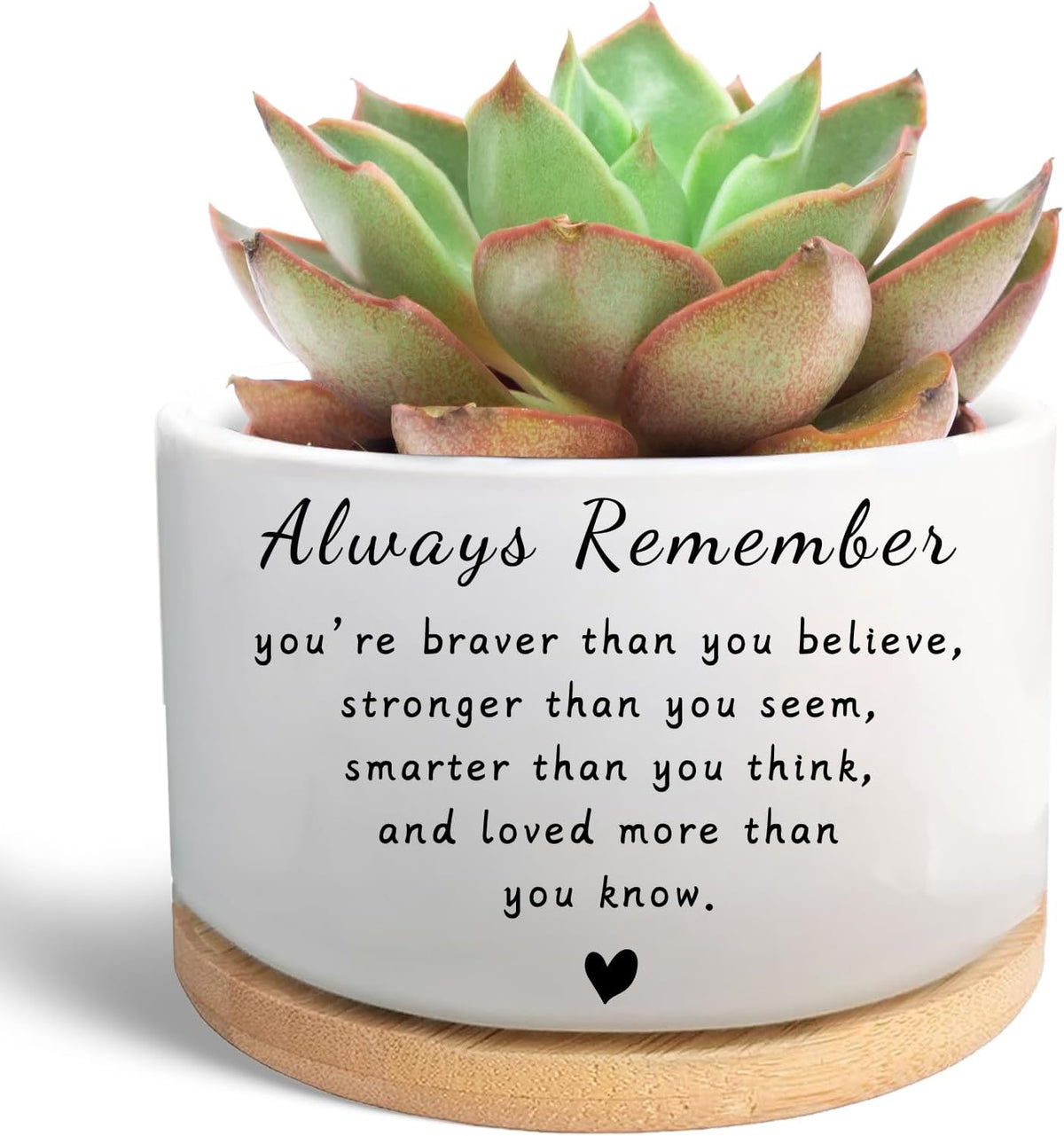 Office Desk Shelf Decor, Funny Succulent Plant Pot (Plants Not Included)