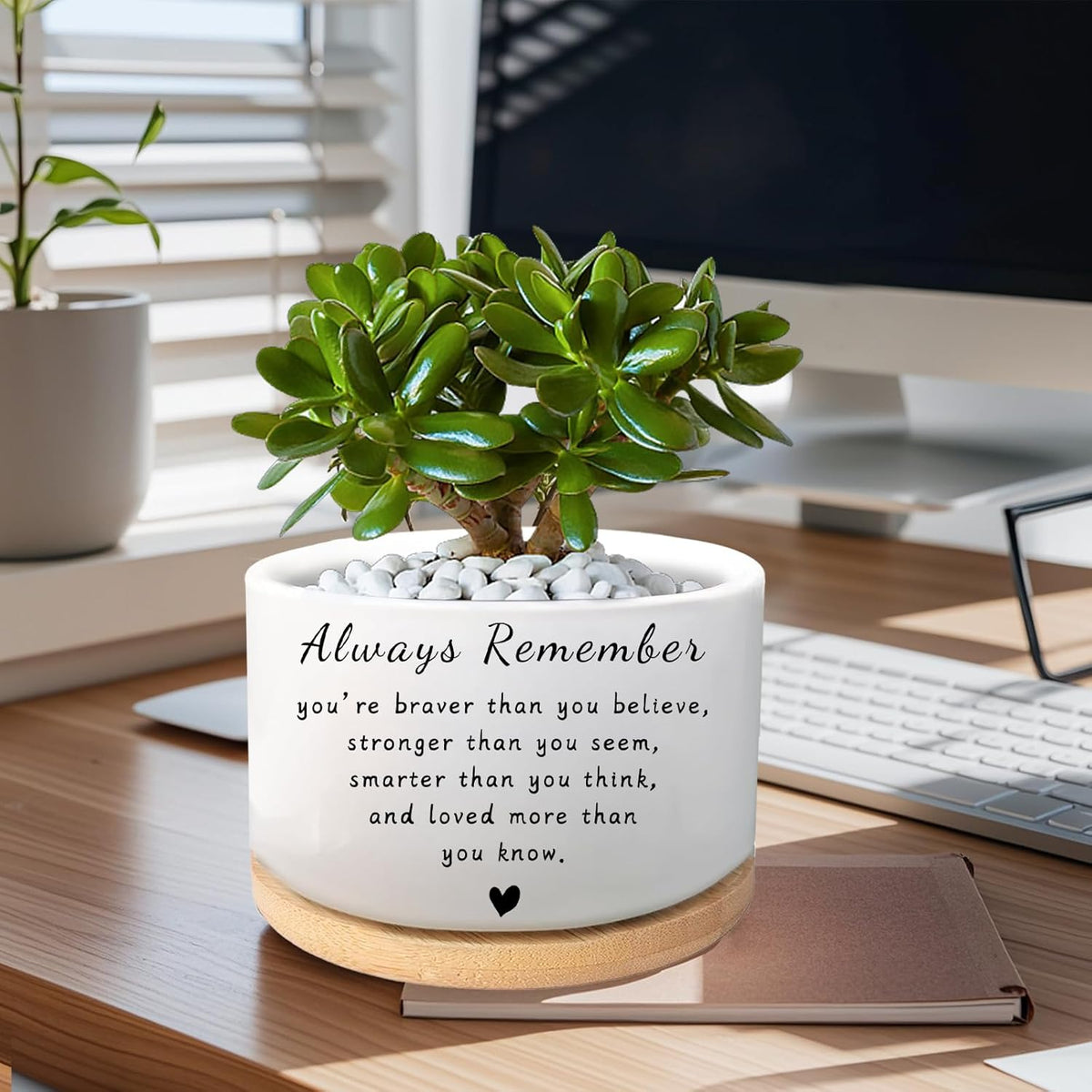 Office Desk Shelf Decor, Funny Succulent Plant Pot (Plants Not Included)